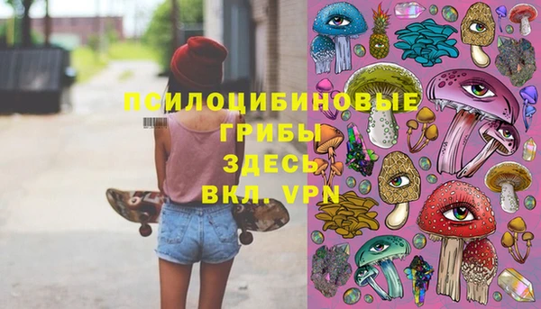 спайс Аркадак