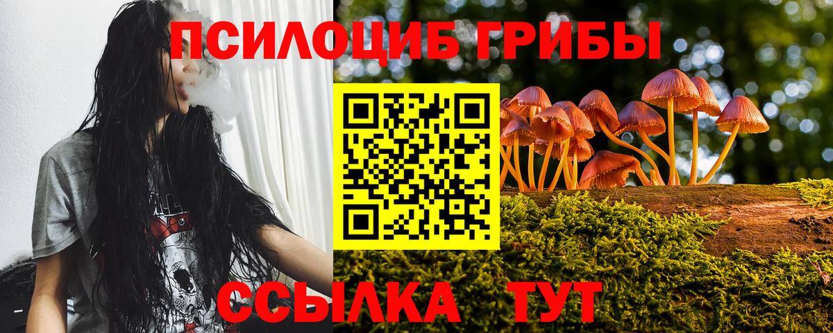 Псилоцибиновые грибы ЛСД Балтийск