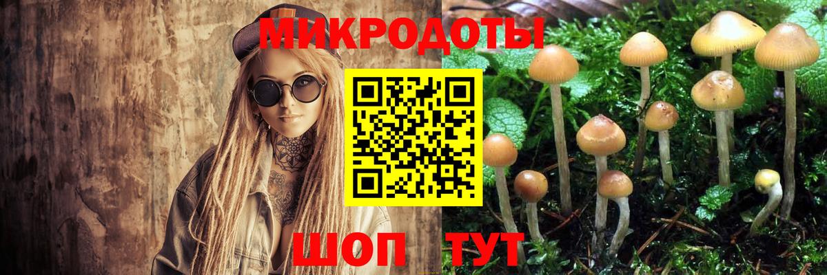 Балтийск  Галлюциногенные грибы Magic Shrooms  где найти   Вход с VPN  Псилоцибиновые грибы Psilocybine cubensis 
